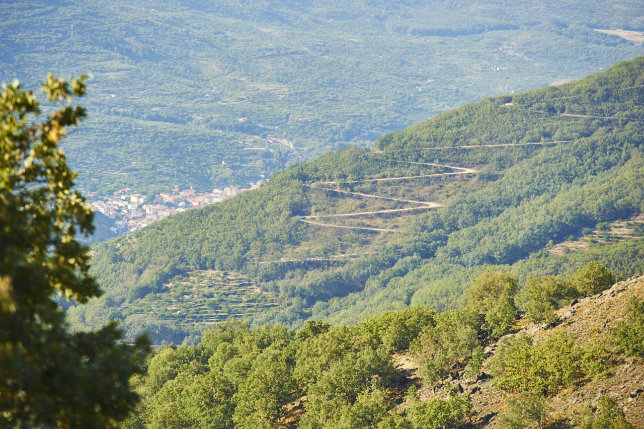 Carretera del Puerto de Honduras